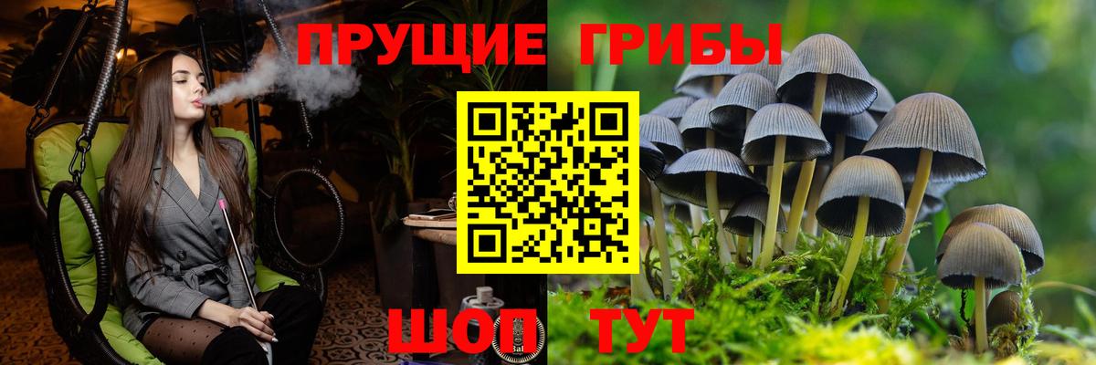 Псилоцибиновые грибы прущие грибы  Вход с VPN  сколько стоит  Сухой Лог 